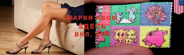 прущие грибы Алзамай