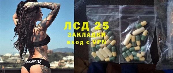 прущие грибы Алзамай