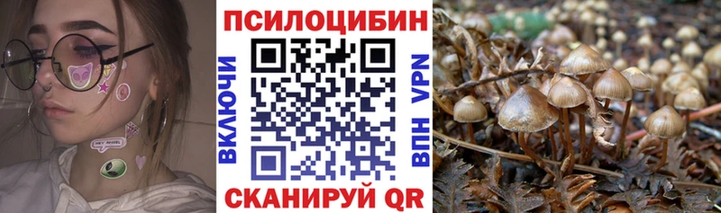 Псилоцибиновые грибы ЛСД  ссылка на мегу зеркало  Каменка 